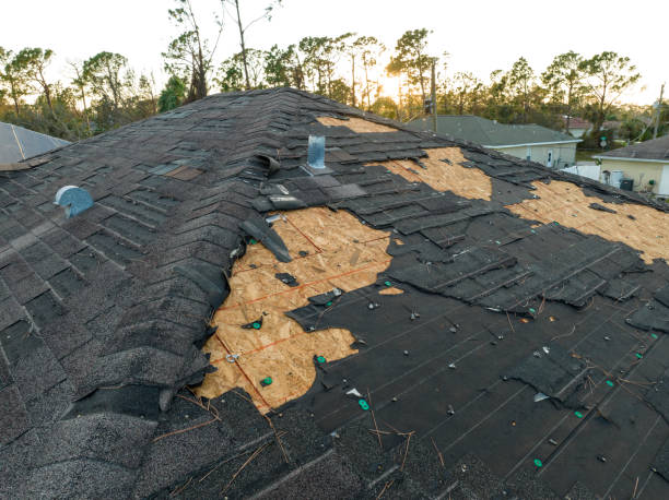 Best Emergency Roof Repair Services  in Mishawaka, IN